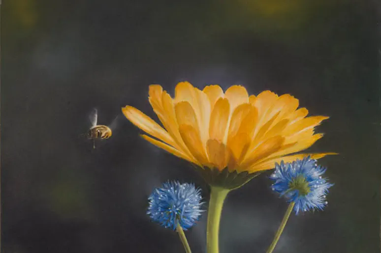 Goudsbloem met hommel - schilderij Marieanne Lops