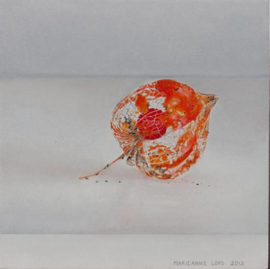 Lampionbloem - schilderij Marieanne Lops