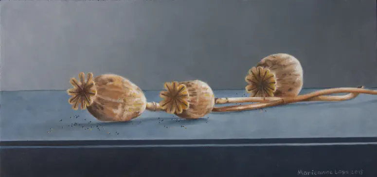 Papaver zaadbollen - schilderij Marieanne Lops